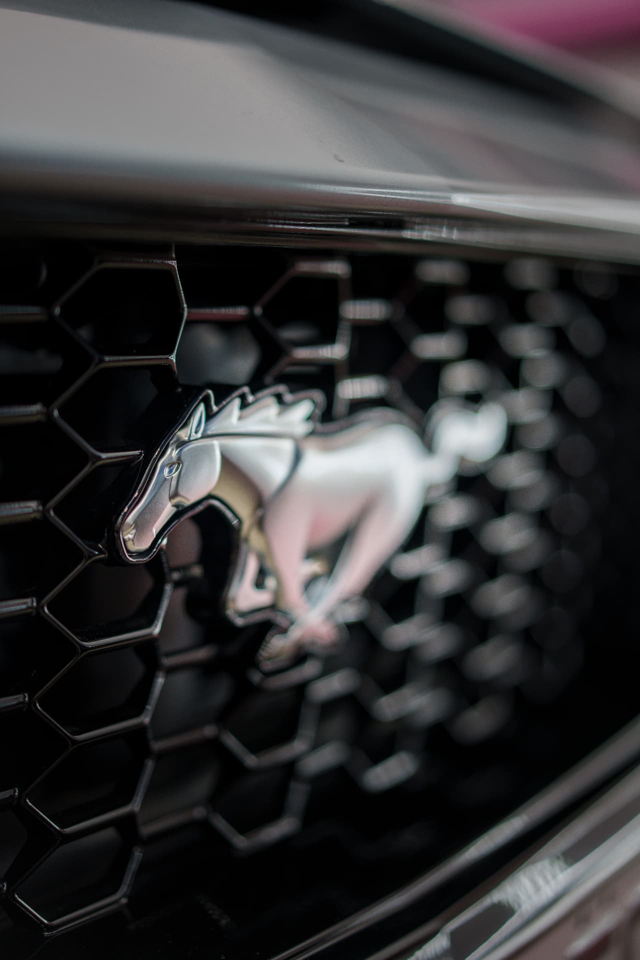 Mustang grille badge close-up